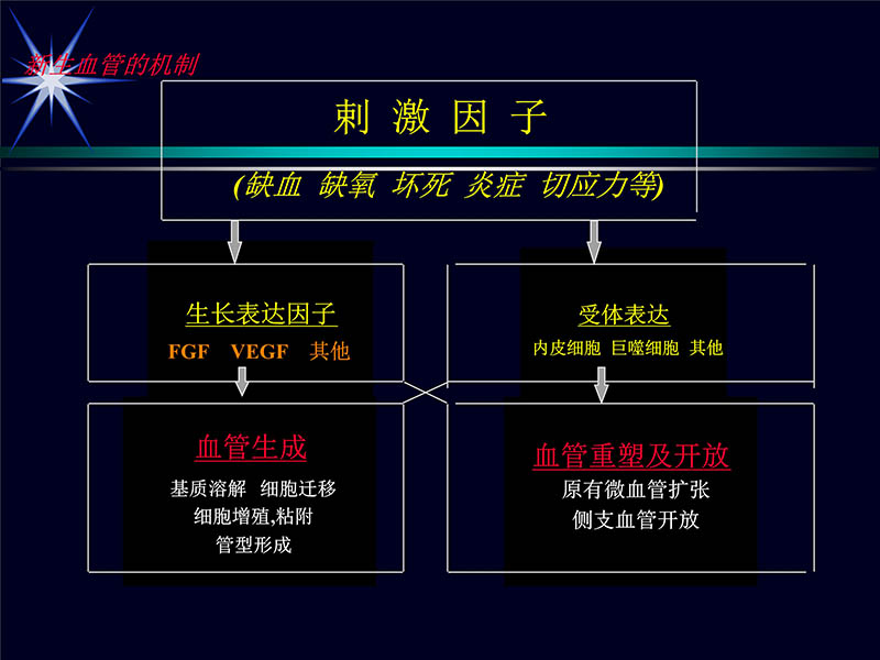 071719155638_01999-08-16激光基因心肌血运重建术_5.jpg