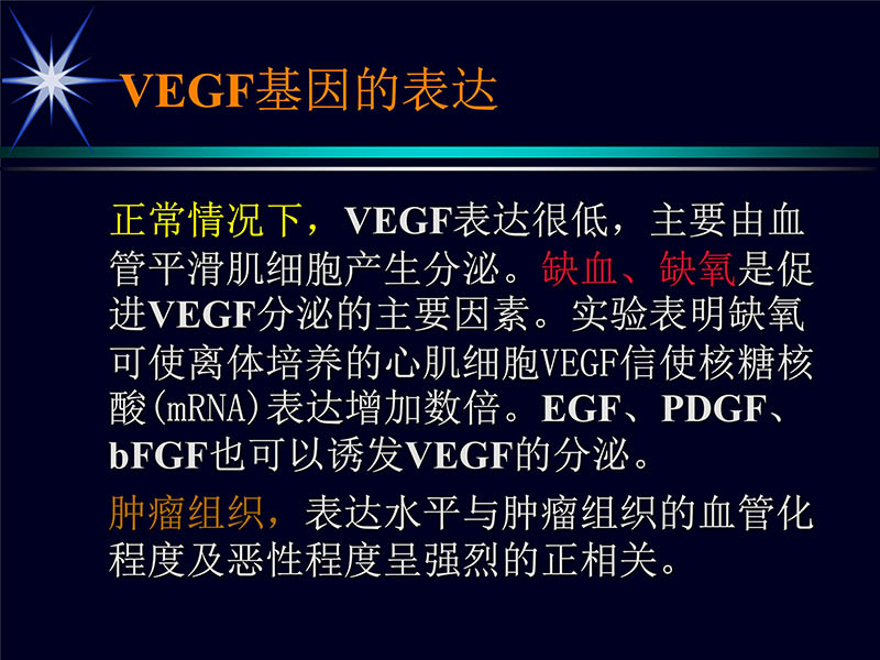 071719155638_01999-08-16激光基因心肌血运重建术_8.jpg