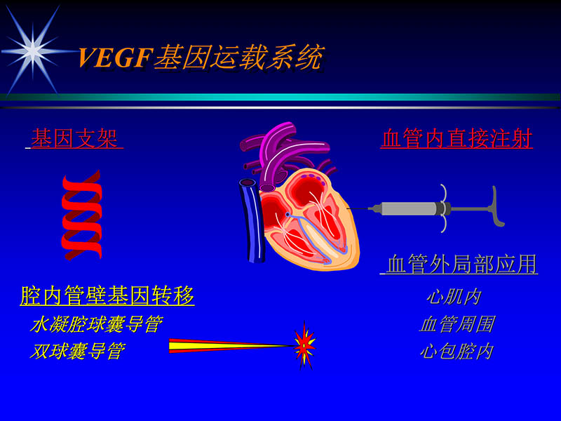 071719155638_01999-08-16激光基因心肌血运重建术_12.jpg
