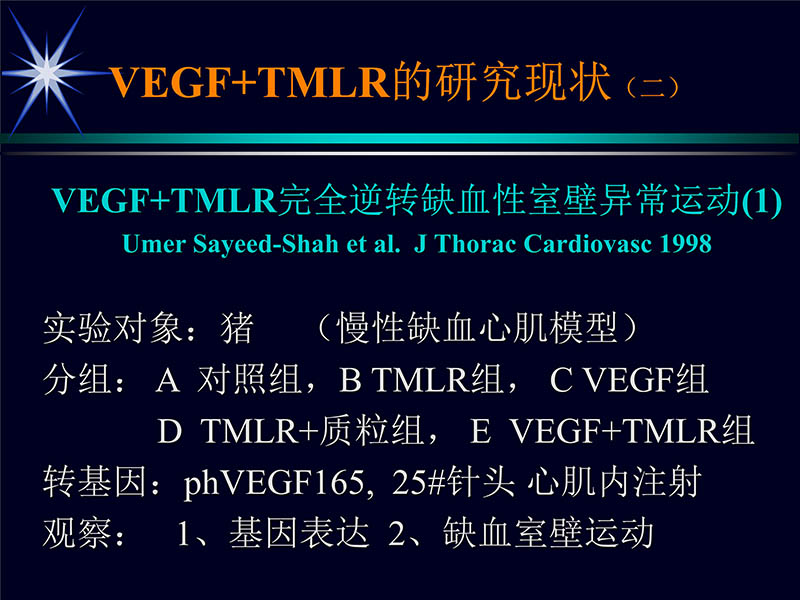 071719155638_01999-08-16激光基因心肌血运重建术_23.jpg