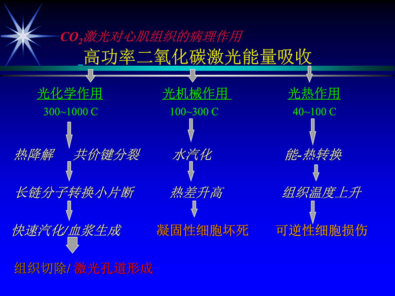 071719234773_02000-11-21激光在心脏外科的应用_51.jpg