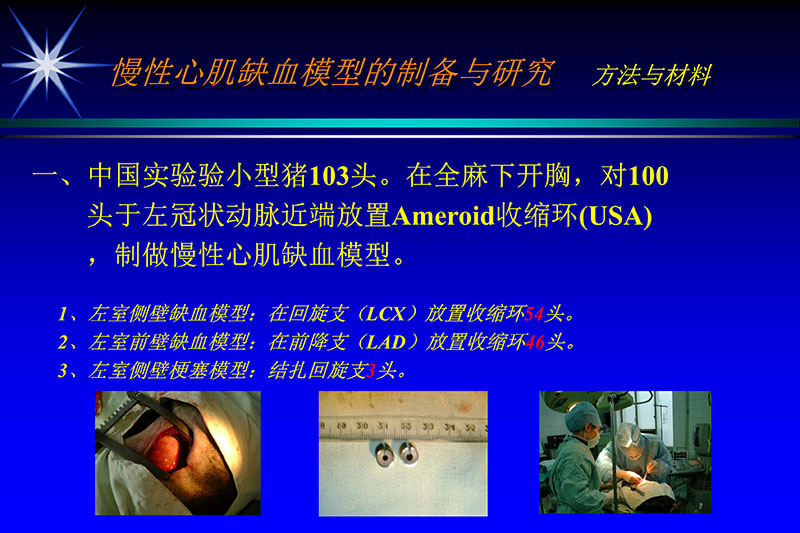 071815272322_02003-12-30vegf基因联合激光心肌血运重建的研究_3.jpg