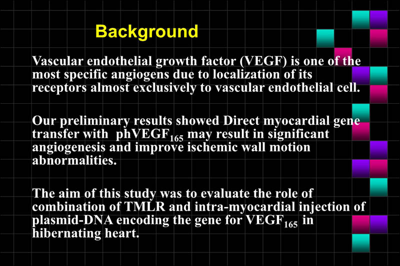 071816283803_0ONOFTMLRANDVEGFGENETHERAPYISCHEMICPORCINEHEART_2.jpg