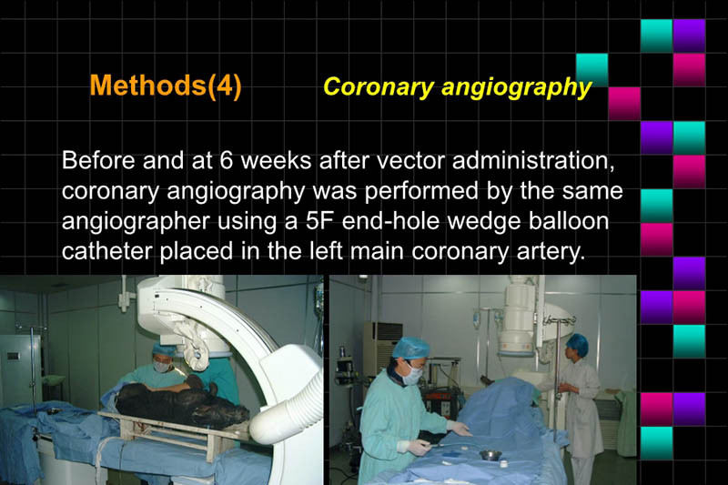 071816283803_0ONOFTMLRANDVEGFGENETHERAPYISCHEMICPORCINEHEART_6.jpg