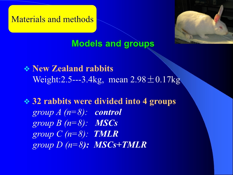 071816404016_0ellsWithTMLRforTreatingAcuteMyocardialIschemia_5.jpg