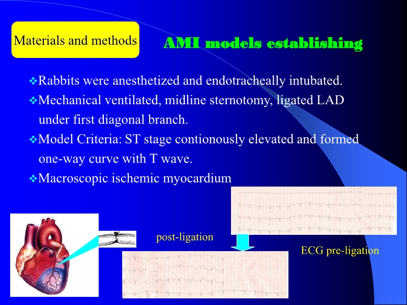 071816404016_0ellsWithTMLRforTreatingAcuteMyocardialIschemia_6.jpg