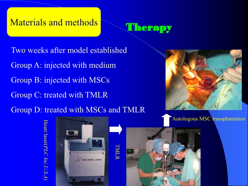 071816404016_0ellsWithTMLRforTreatingAcuteMyocardialIschemia_8.jpg