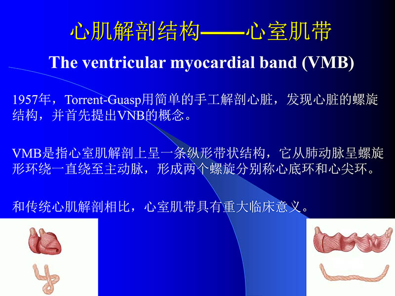 071816413472_02005-08-18现代人工心室装置治疗心衰临床应用_2.jpg