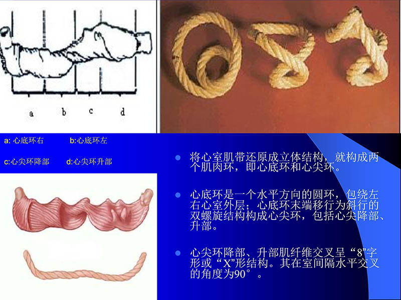 071816413472_02005-08-18现代人工心室装置治疗心衰临床应用_7.jpg