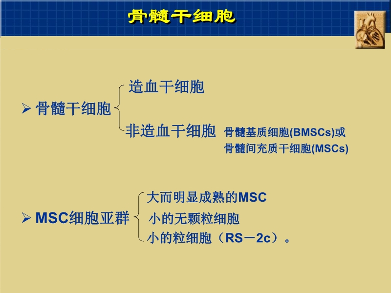 072010382251_02005-09-06干细胞与心肌细胞再生_4.jpg