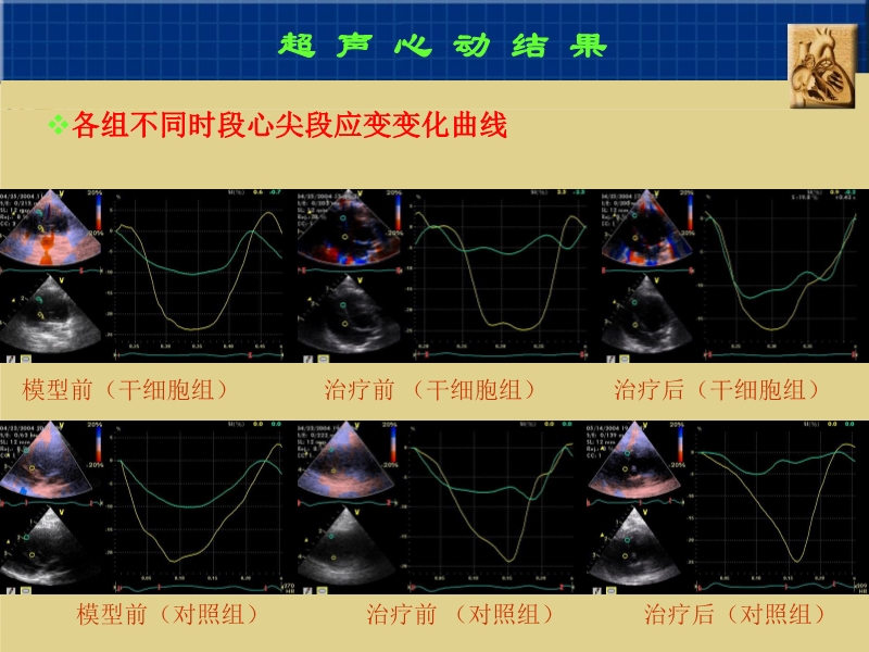072010382251_02005-09-06干细胞与心肌细胞再生_9.jpg