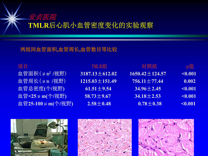 072011331246_02007-05-25当今tmlr的地位和价值_20.jpg