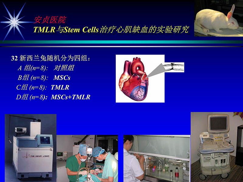 072011331246_02007-05-25当今tmlr的地位和价值_29.jpg