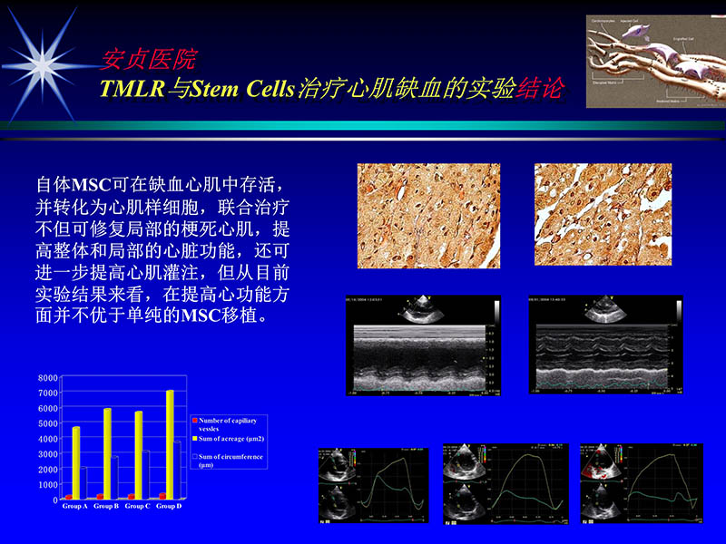 072011331246_02007-05-25当今tmlr的地位和价值_30.jpg