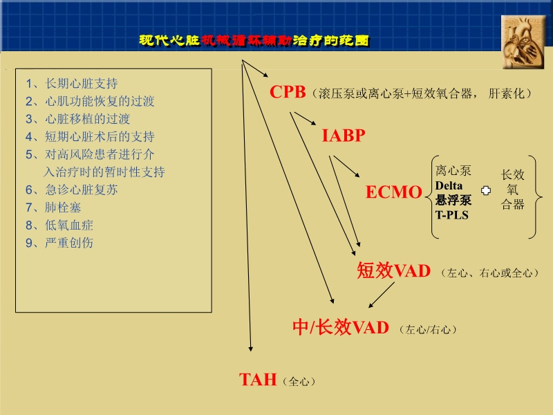 072812160890_02010-06-17心室辅助装置和人工心脏_32.jpg