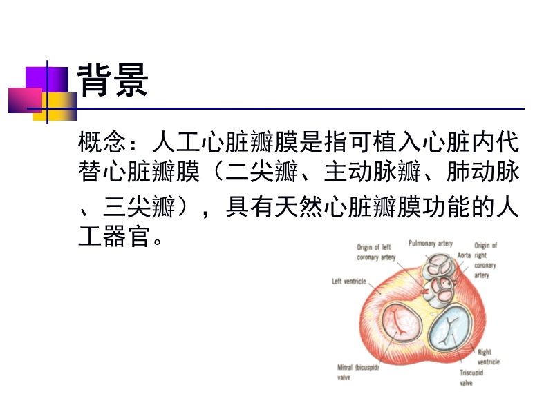 072812552022_02011-12-05人工心脏瓣膜_2.jpg
