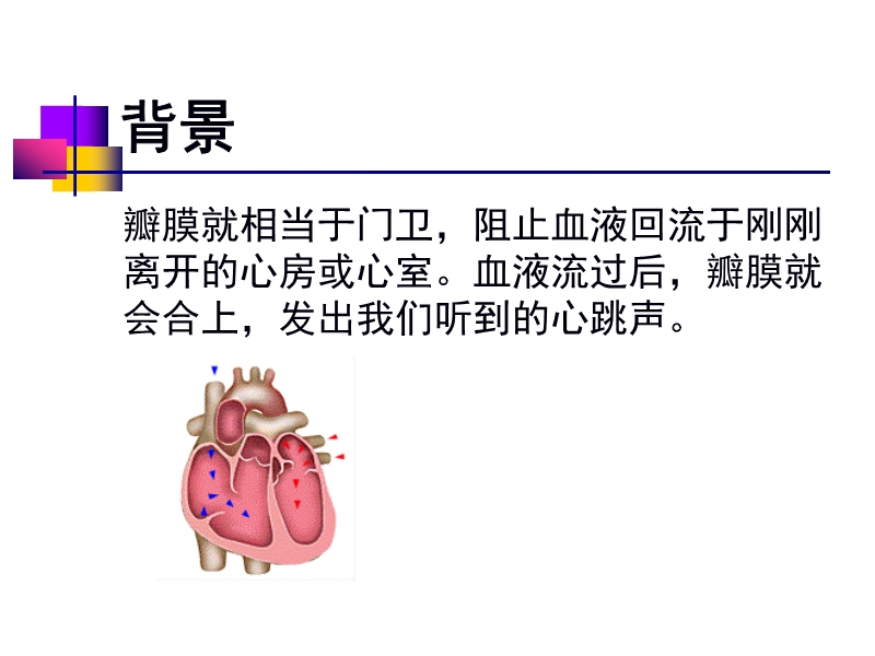 072812552022_02011-12-05人工心脏瓣膜_4.jpg