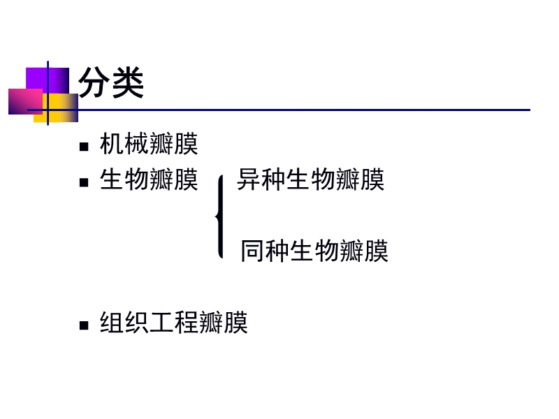 072812552022_02011-12-05人工心脏瓣膜_8.jpg