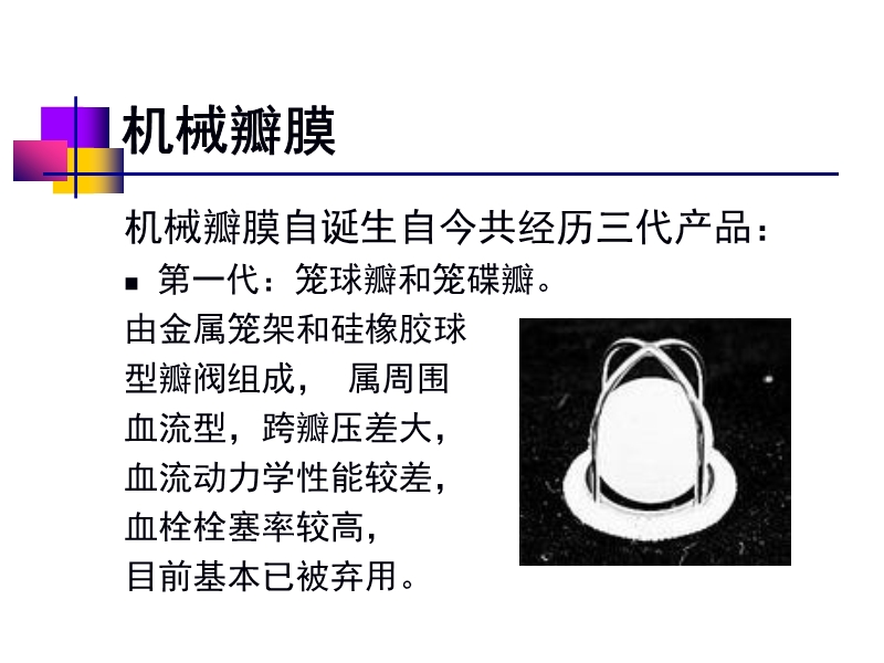 072812552022_02011-12-05人工心脏瓣膜_9.jpg