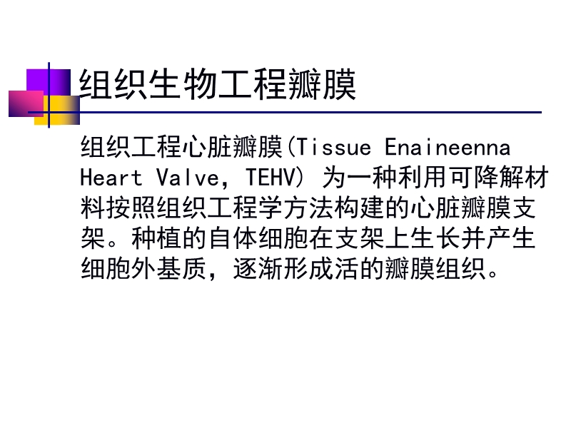 072812552022_02011-12-05人工心脏瓣膜_35.jpg