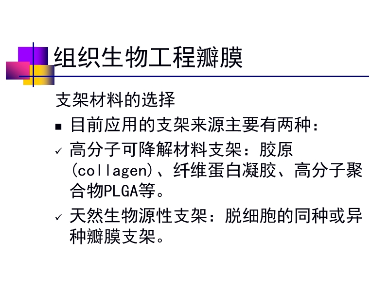 072812552022_02011-12-05人工心脏瓣膜_39.jpg