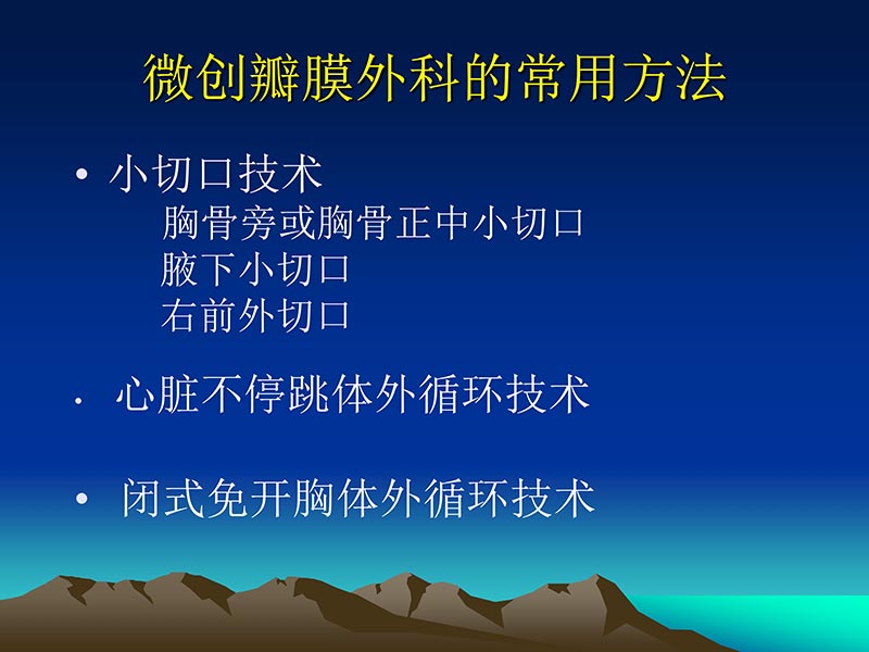 072812565383_02011-12-05心脏瓣膜外科的发展与现状_12.jpg