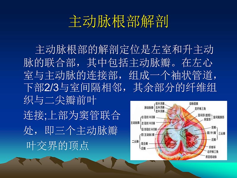 072812565383_02011-12-05心脏瓣膜外科的发展与现状_27.jpg