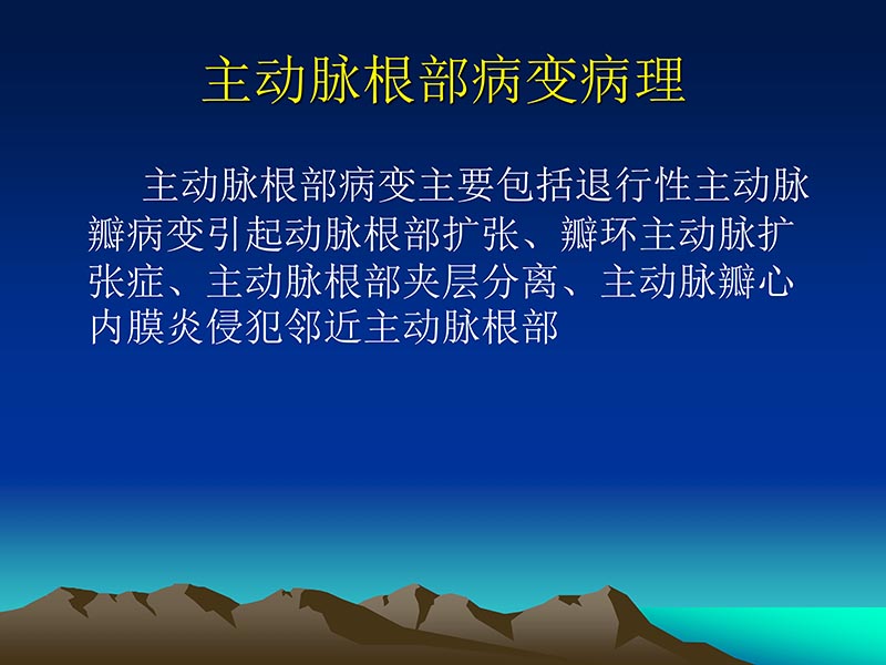 072812565383_02011-12-05心脏瓣膜外科的发展与现状_28.jpg