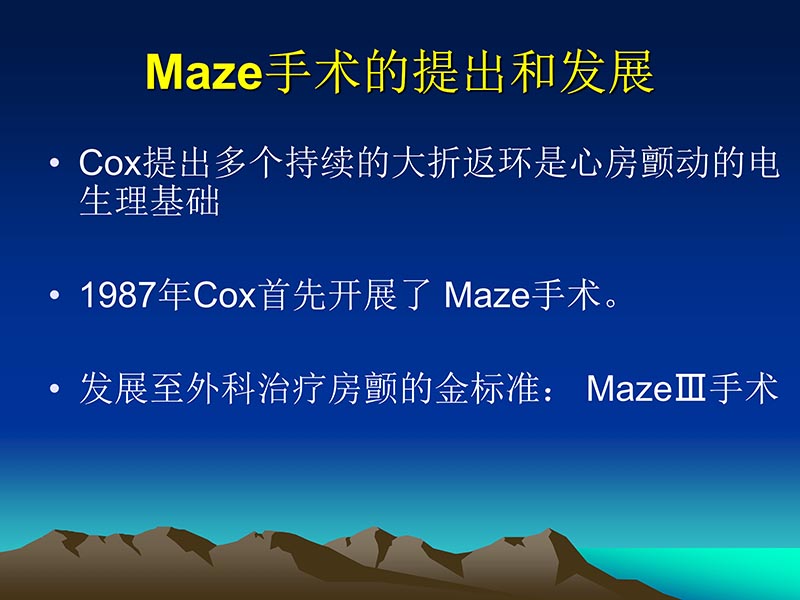072812565383_02011-12-05心脏瓣膜外科的发展与现状_60.jpg