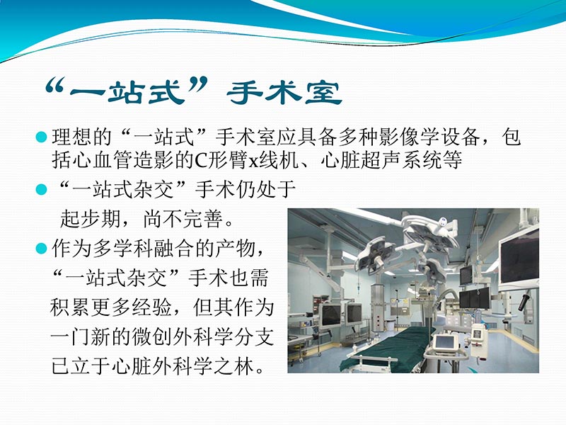 072813401993_02013-03-06微创冠状动脉搭桥治疗缺血性心脏病_52.jpg