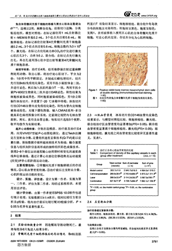 073115302267_020-兔自体骨髓间充质干细胞移植联合激光心肌血运重建治疗急性心肌缺血_3.jpg