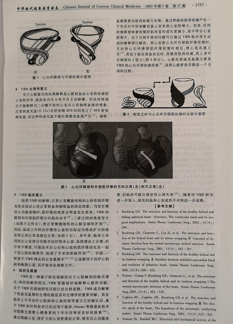073117015660_035-心肌解剖结构再认识心室肌带_2.jpg